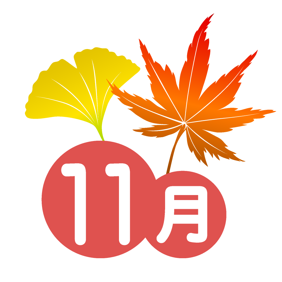 11月結婚式特集