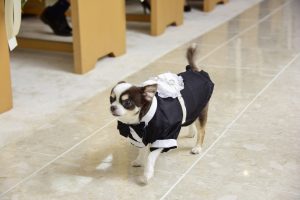 30名以下の少人数結婚式だからこそやりたい アットホームな雰囲気にピッタリのおすすめ演出を一挙紹介 Wedding Table ウェディングテーブル