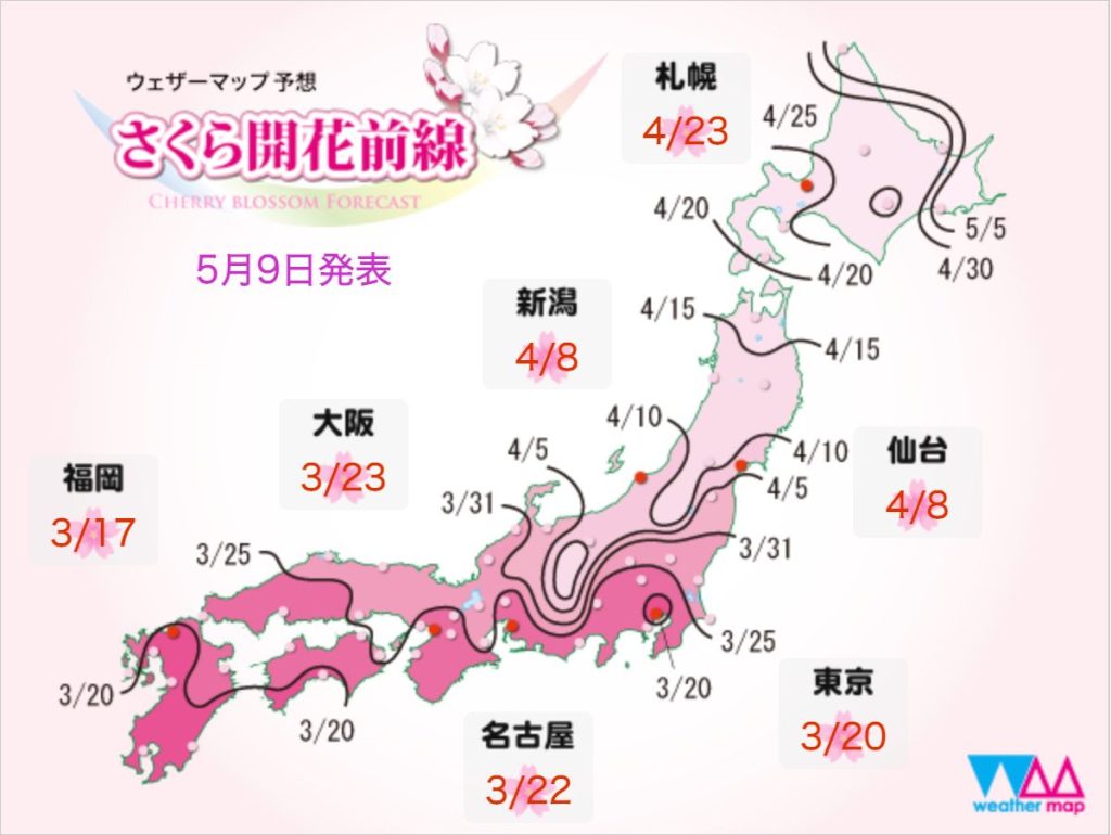 さくら開花前線