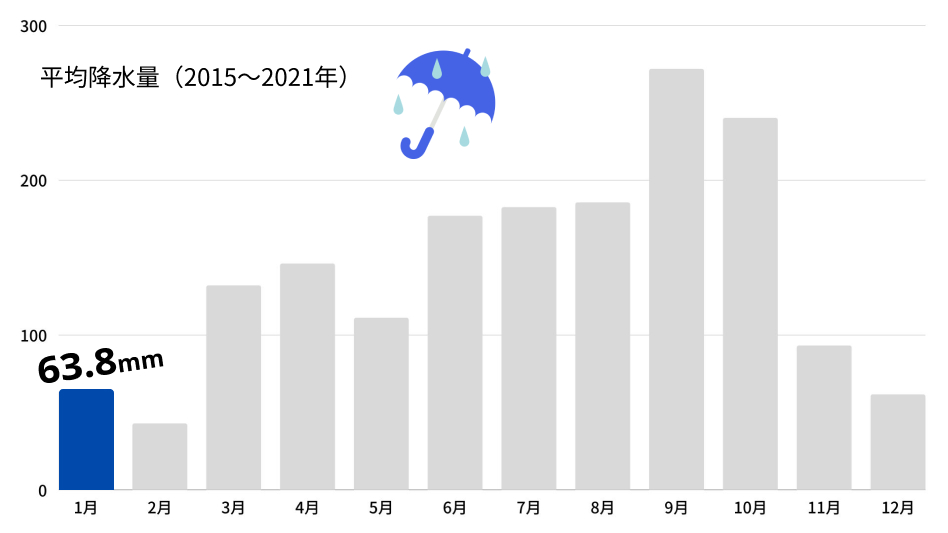 1月降水量グラフ